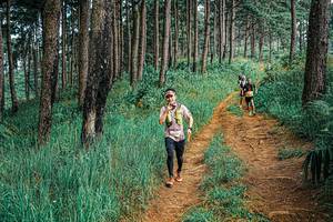 BIB: 
                            <button type="button" onclick="openModal(25668370)" class="btn btn-primary btn-sm float-right btn-popup" data-toggle="modal" data-target=".modal-high-quality">
                        <i class="fas fa-shopping-cart"></i> Add to Cart
                    </button>
                                            <button type="button" onclick="isThisMe(25668370, true)" class="btn btn-success btn-sm float-right btn-popup btn-isme hidden" data-toggle="tooltip" data-placement="bottom" title="นี่คือรูปของคุณใช่ไหม คลิกที่นี่เพื่อเอาเข้าอัลบั้ม">
                        <i class="fas fa-plus"></i> Add to album
                    </button>
                    <button type="button" onclick="isThisMe(25668370, false)" class="btn btn-warning btn-sm float-right btn-popup btn-isnotme hidden">
                        <i class="fas fa-ban"></i> Remove from album
                    </button>